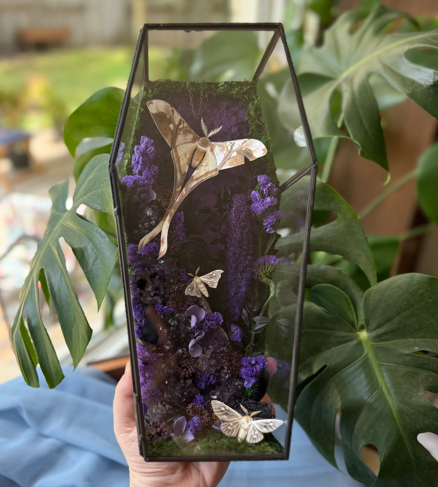 ✨The Amethyst Hollow✨