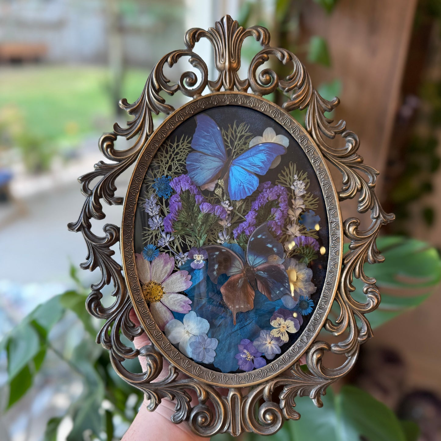 ✨Midnight Winged Sapphire✨