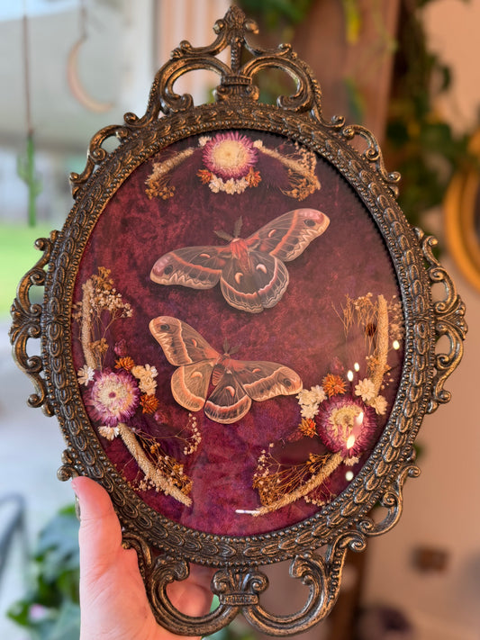 ✨Whispers of Autumn Air✨