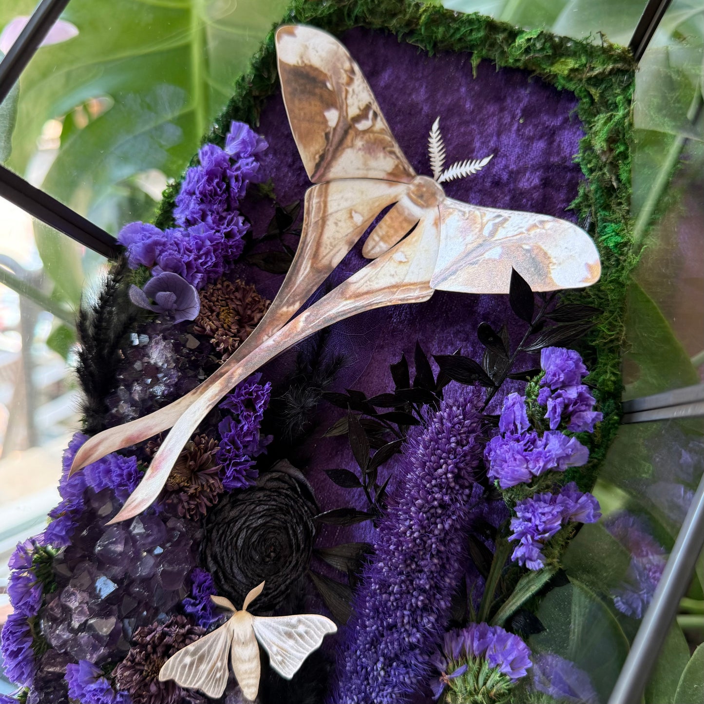 ✨The Amethyst Hollow✨