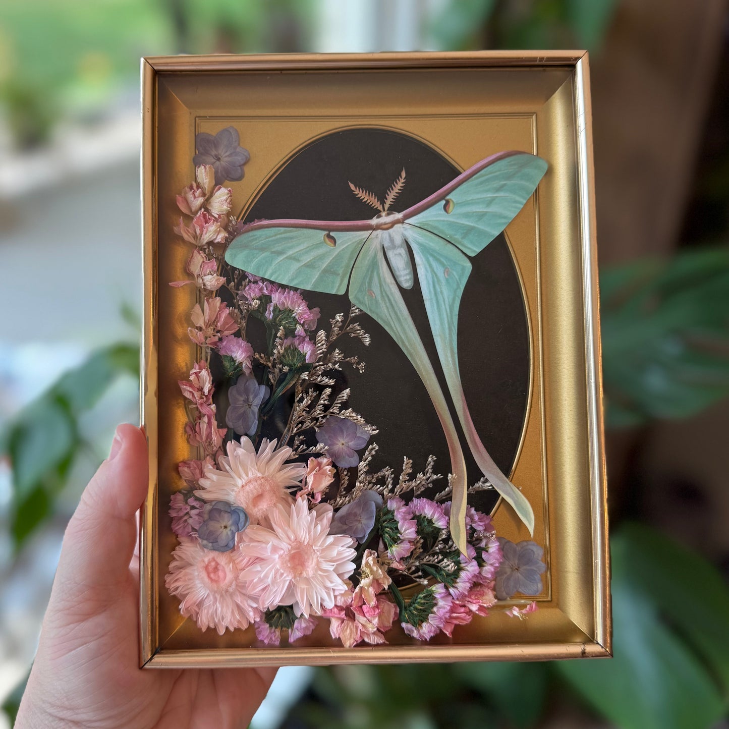 ✨Moonlight Wing Garden✨