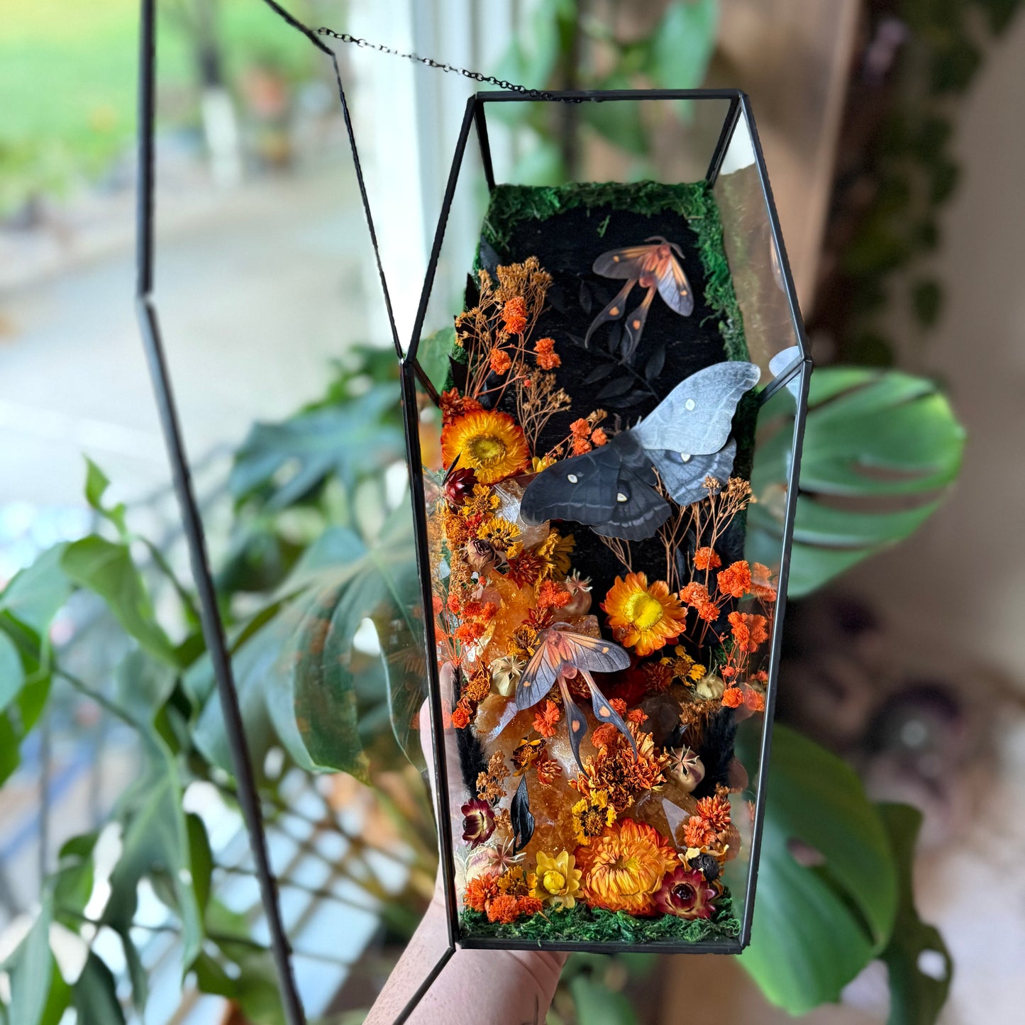 ✨The Citrine Hollow✨