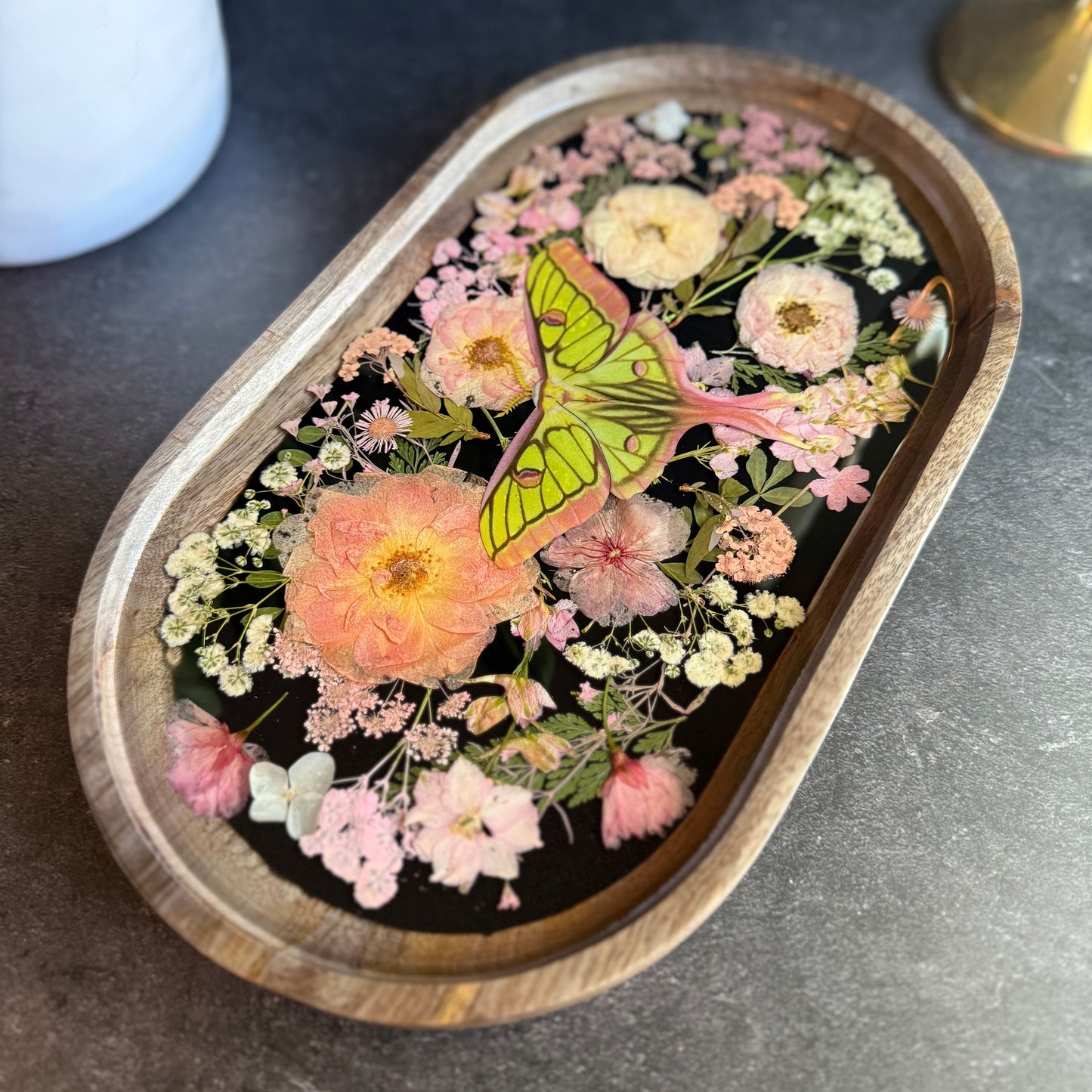 Hybrid Luna Moth Tray