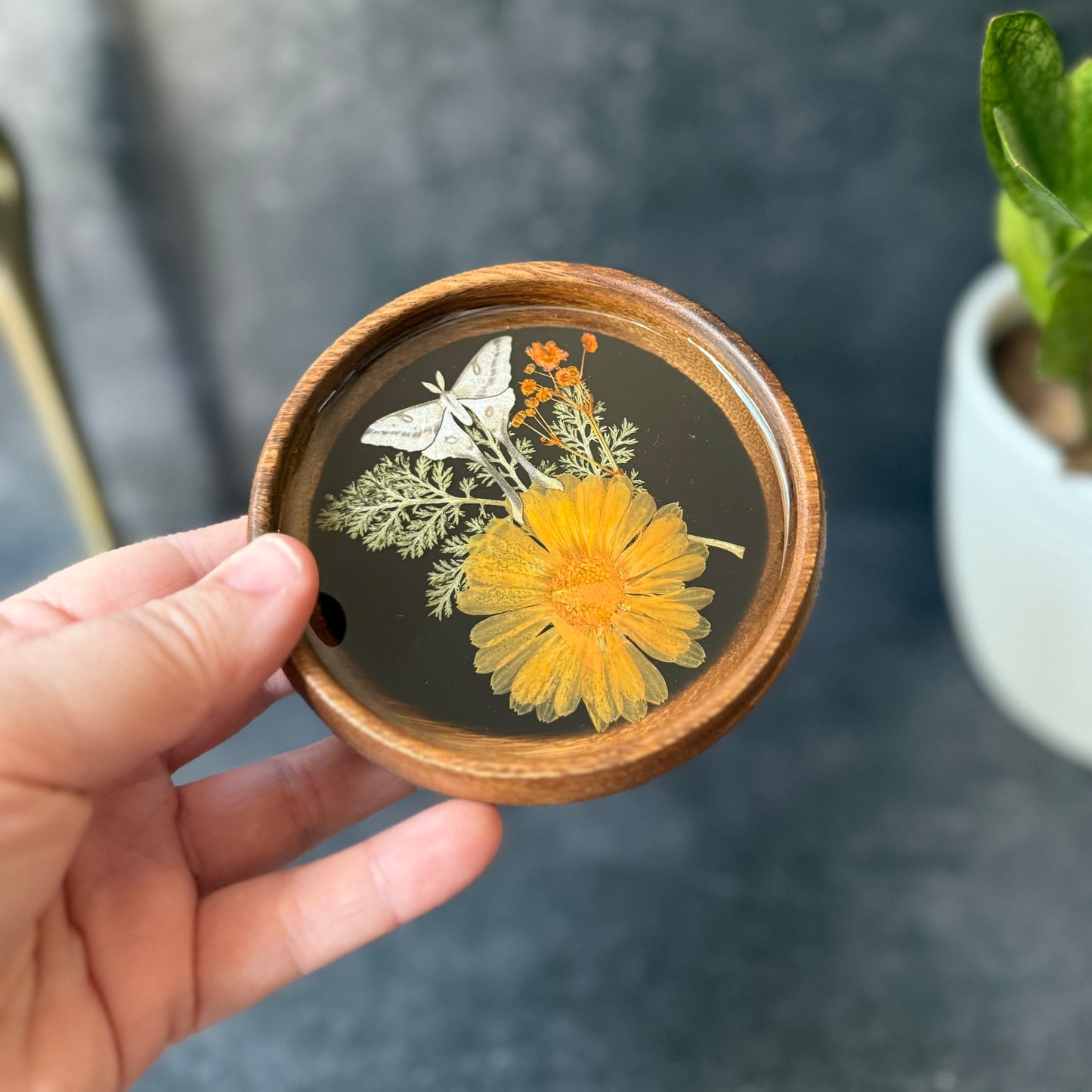 Mini Bloom Bowl/Coaster