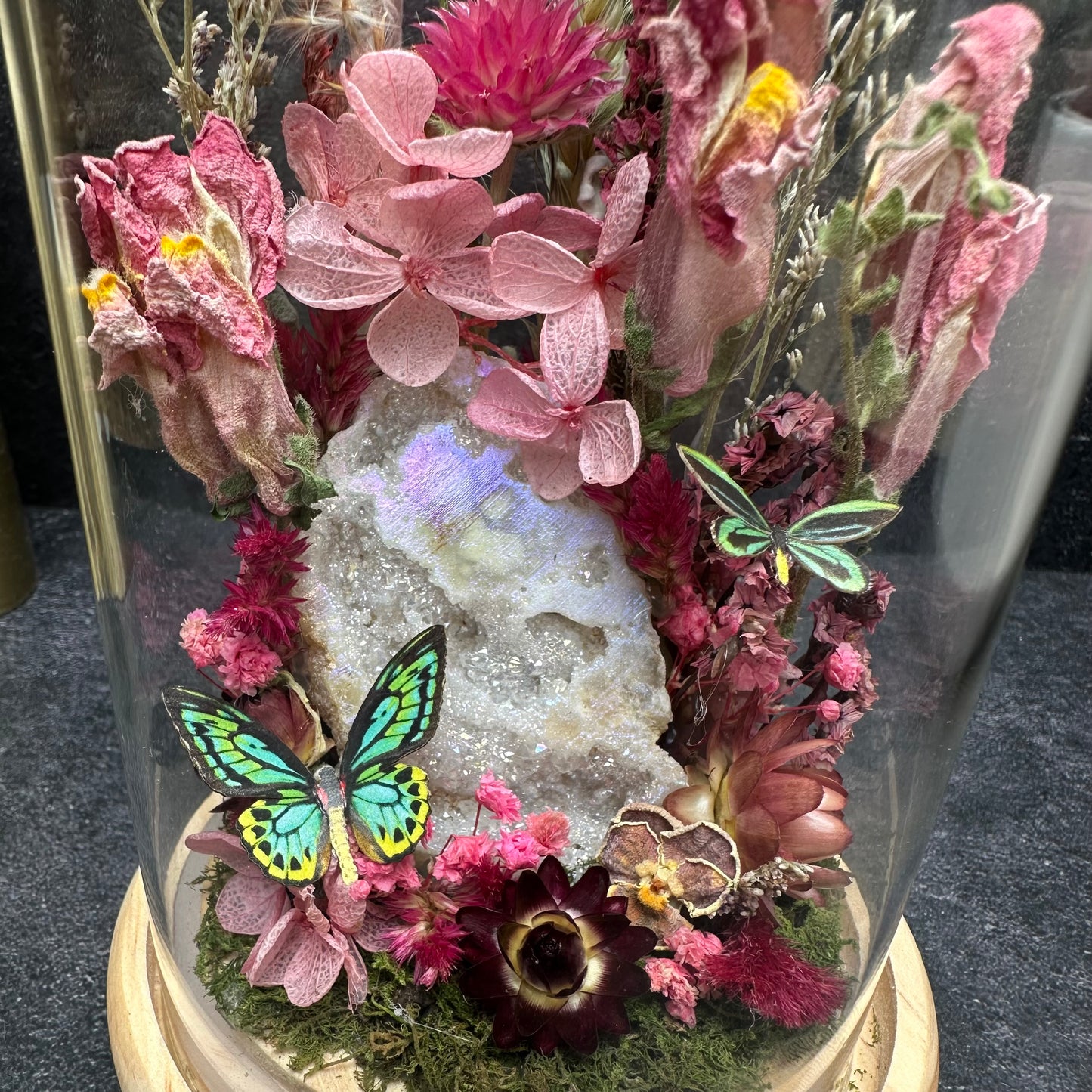 Rothschild Birdwing Butterfly & Aura Quartz Terrarium