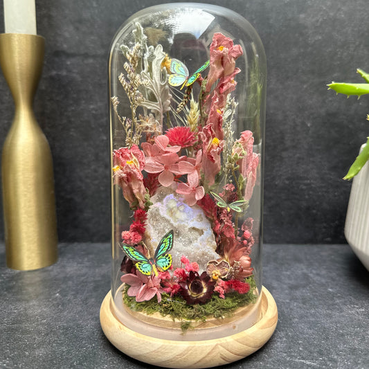 Rothschild Birdwing Butterfly & Aura Quartz Terrarium