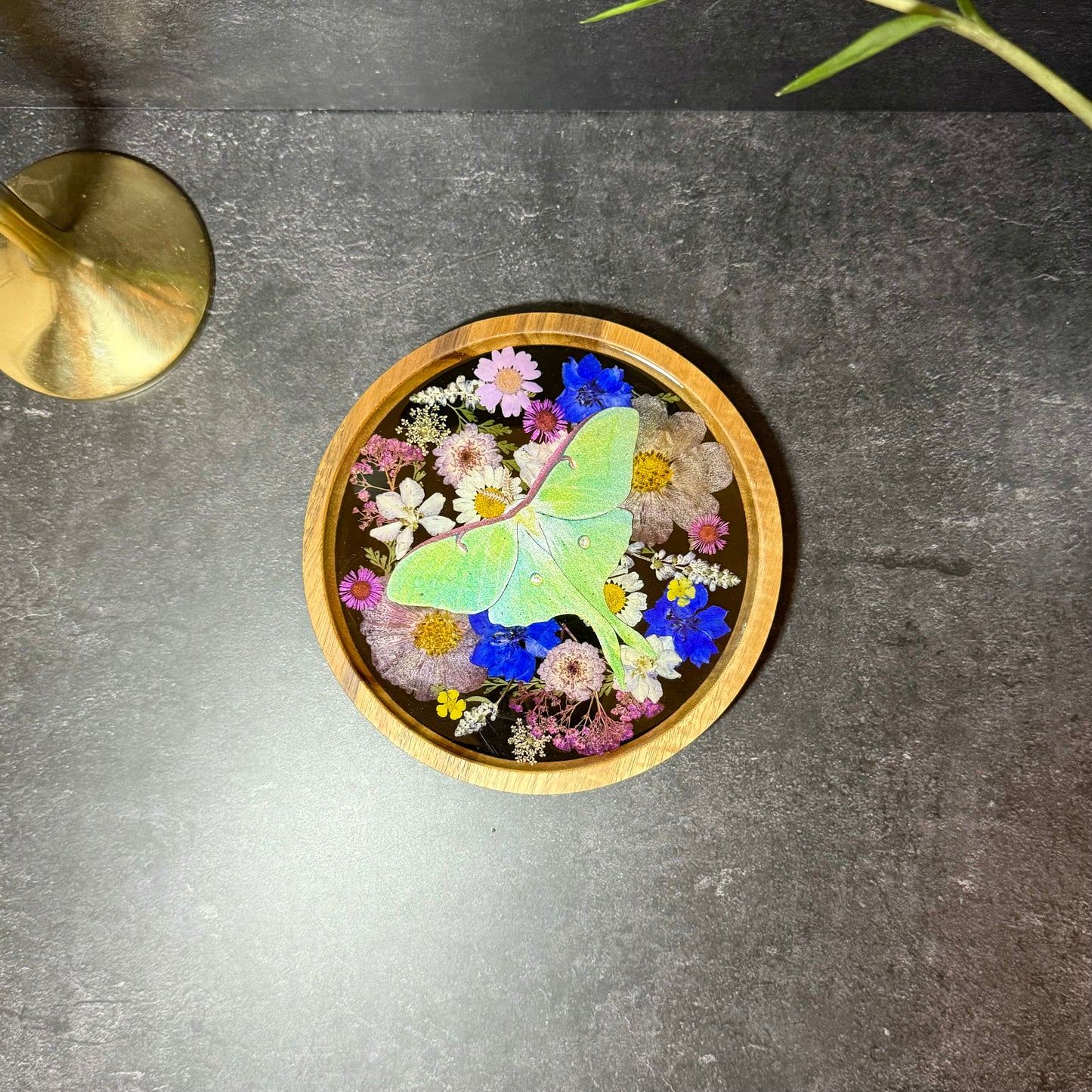 Round Luna Moth Tray