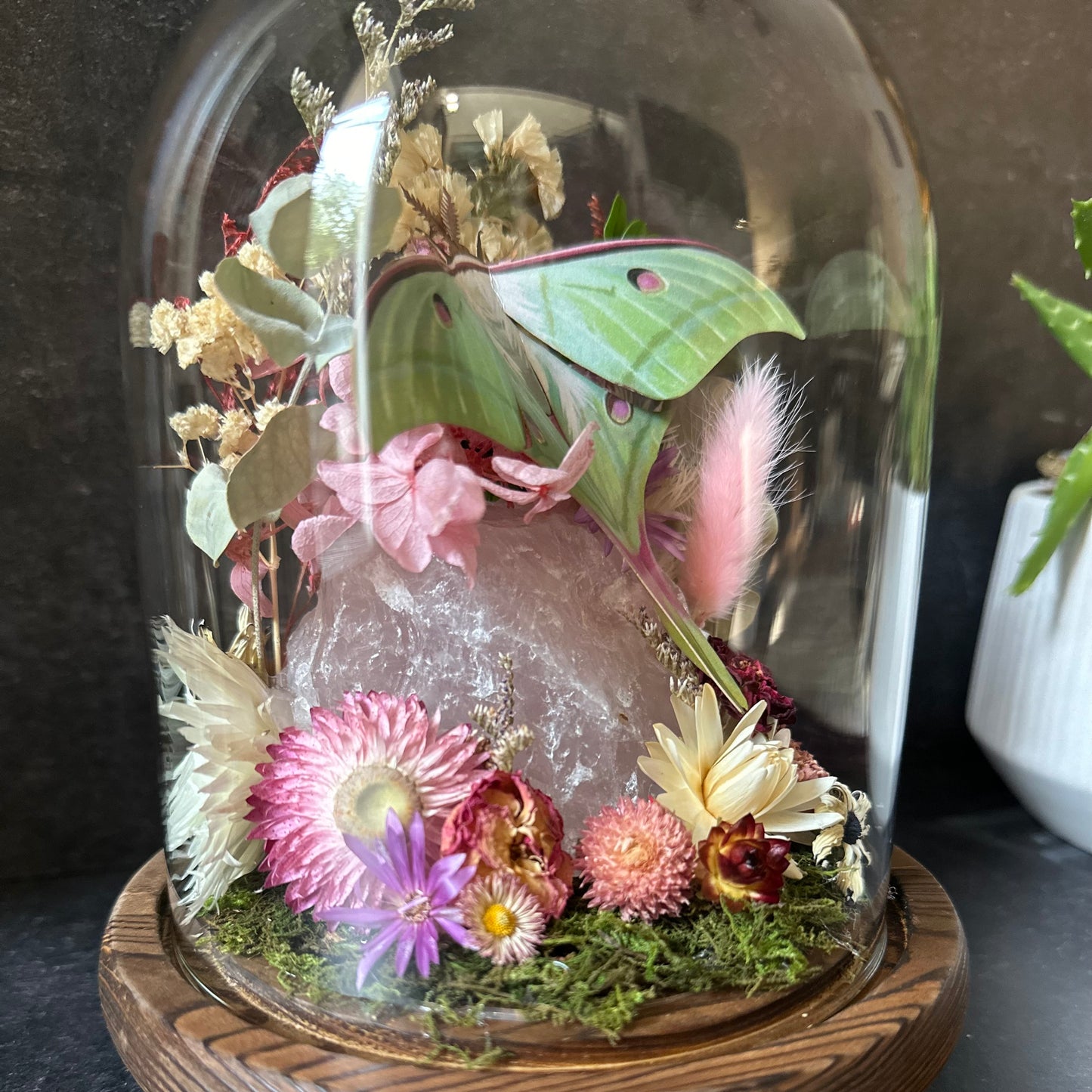 Moon Moth & Rose Quartz Terrarium