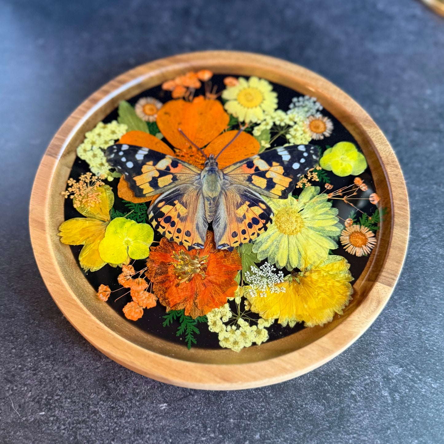 Round Painted Lady Butterfly Tray