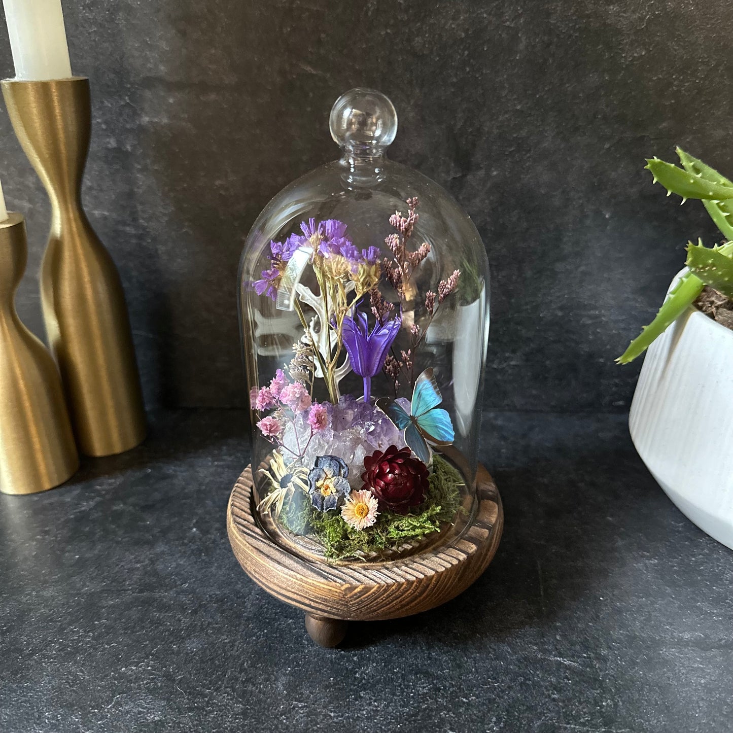 Blue Morpho & Amethyst Terrarium