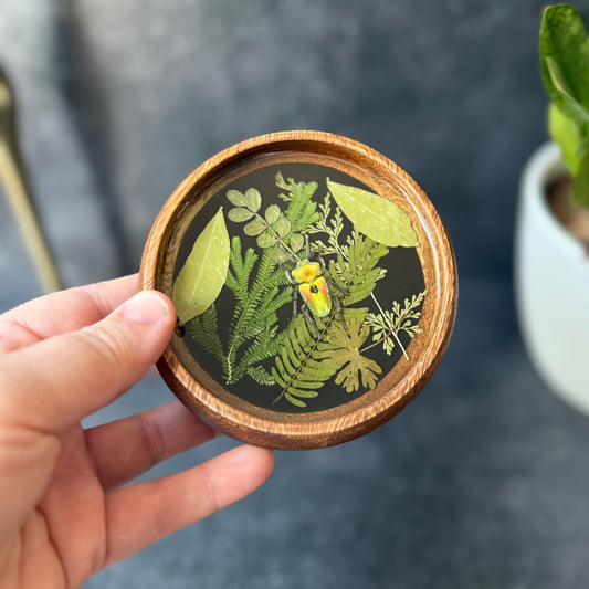 Mini Bloom Bowl/Coaster