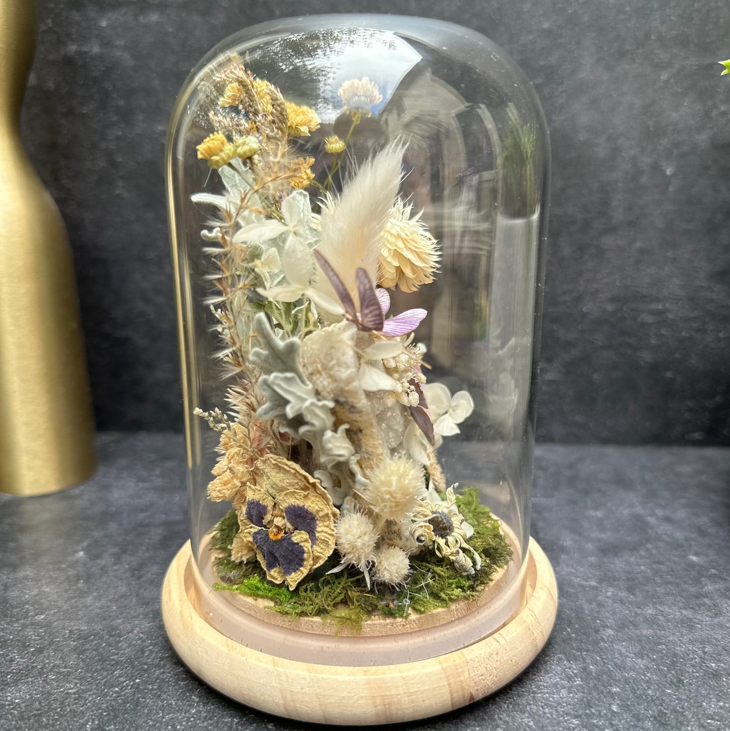 Dragonfly, Pearl Morpho Butterfly & Aura Quartz Terrarium