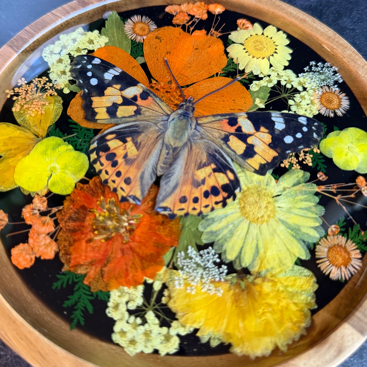 Round Painted Lady Butterfly Tray