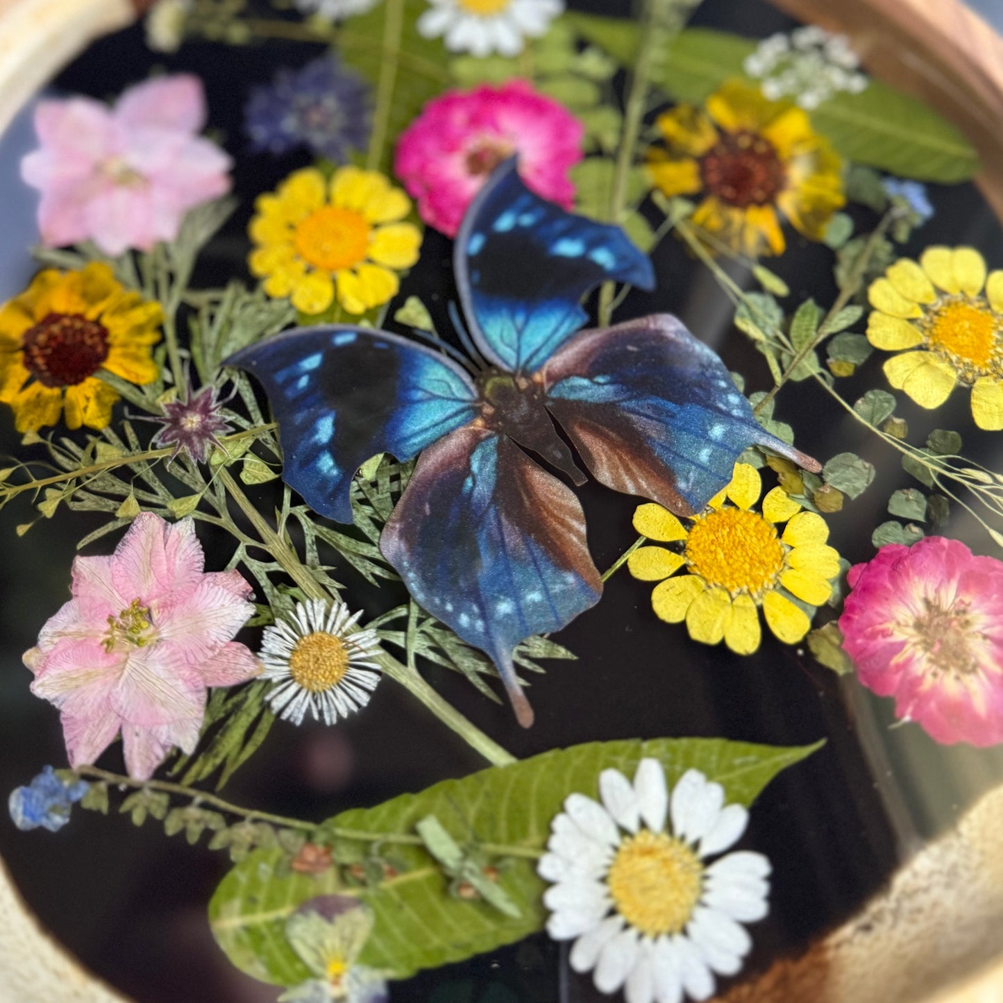 Irregular Blue Hatchet Butterfly Tray