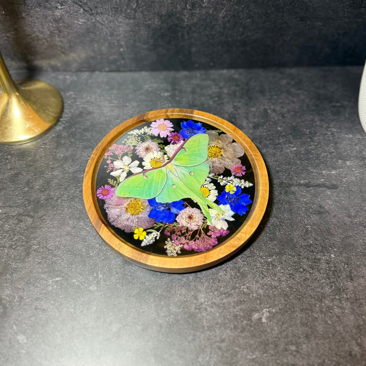 Round Luna Moth Tray