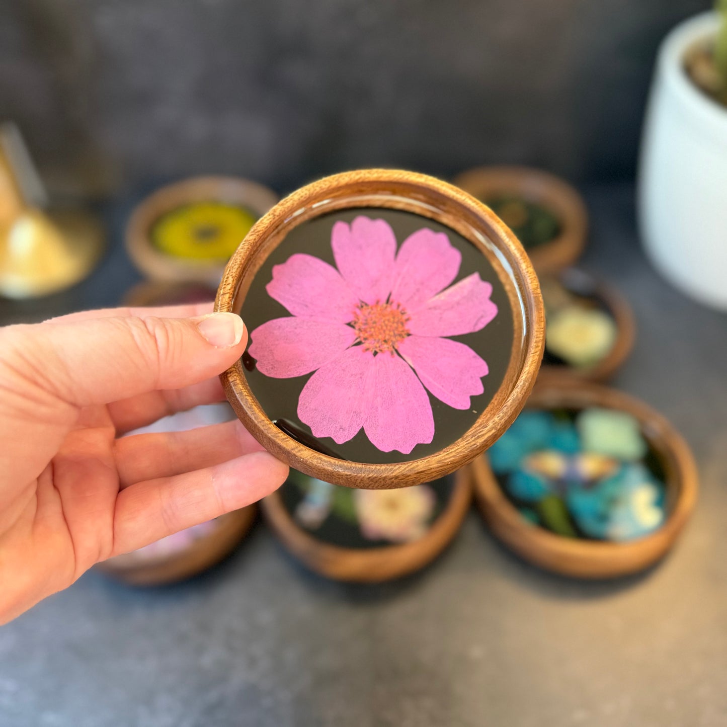 Mini Pink Cosmos Bowl/Coaster