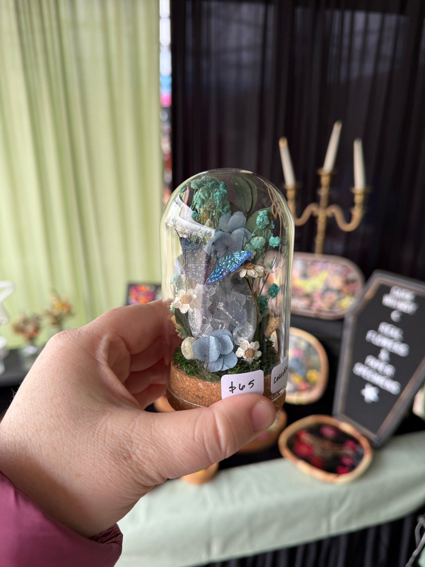 Mini Celestite Crystal Terrarium