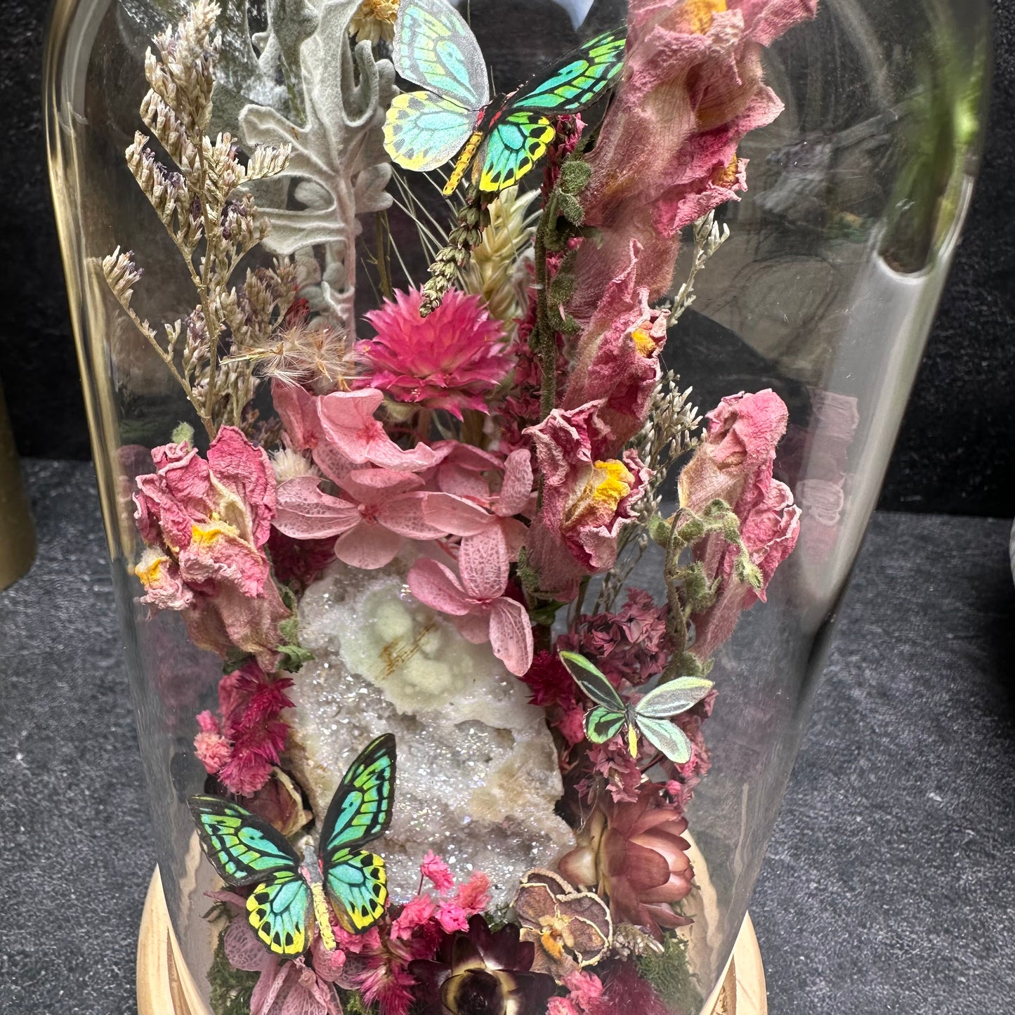 Rothschild Birdwing Butterfly & Aura Quartz Terrarium