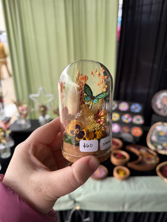 Mini Citrine Crystal Terrarium