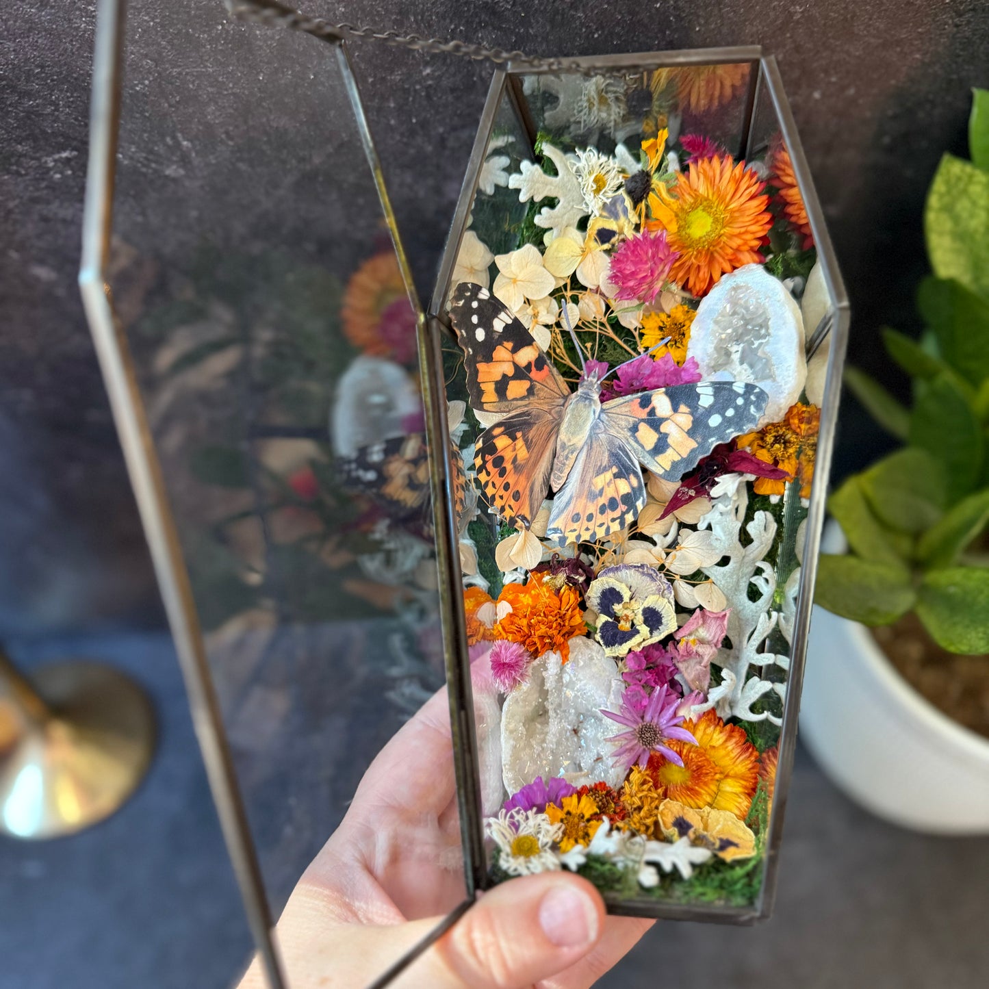 Painted Lady Butterfly & Aura Quartz Coffin Terrarium