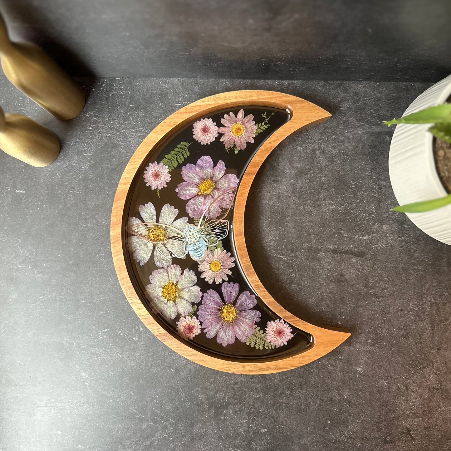 Crescent Moon Cicada Tray