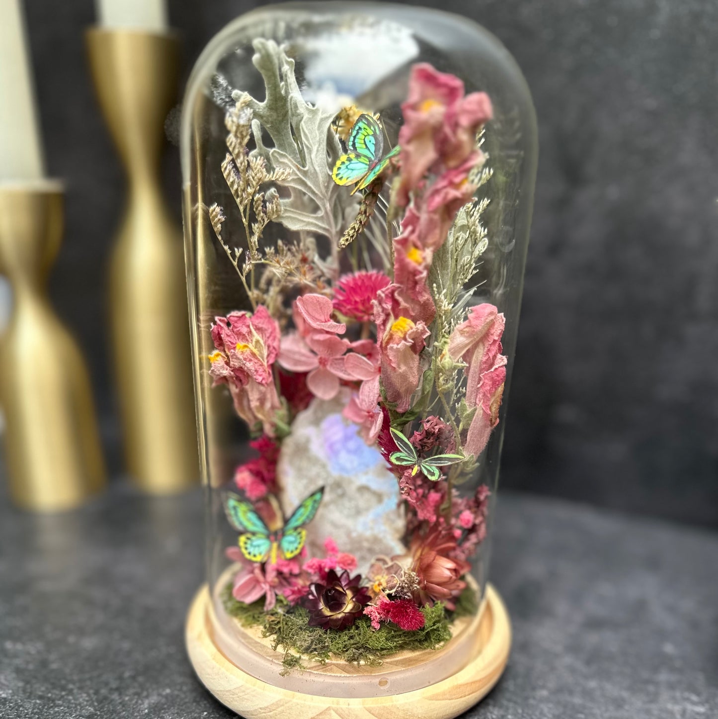 Rothschild Birdwing Butterfly & Aura Quartz Terrarium