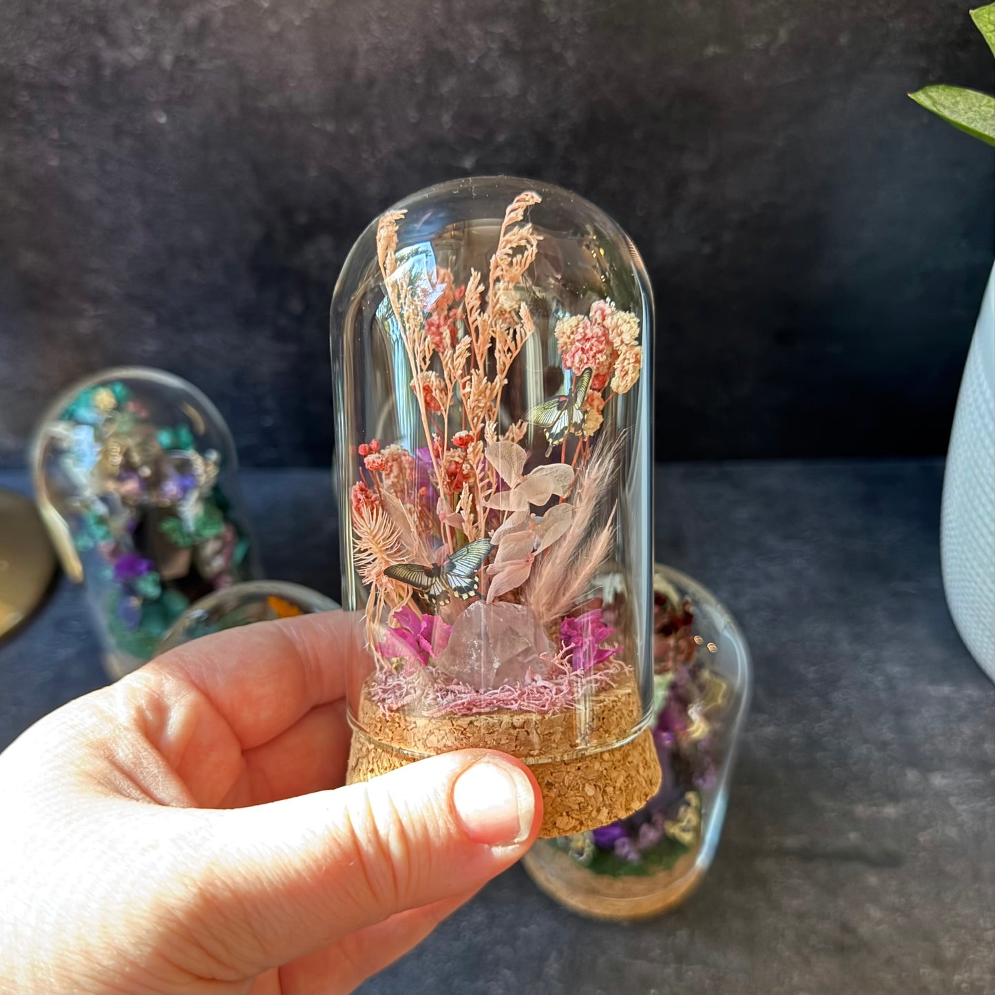 Mini Great Mormon Butterfly & Crystal Quartz Terrarium