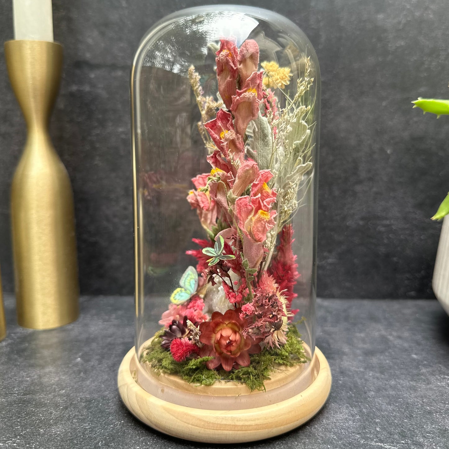 Rothschild Birdwing Butterfly & Aura Quartz Terrarium