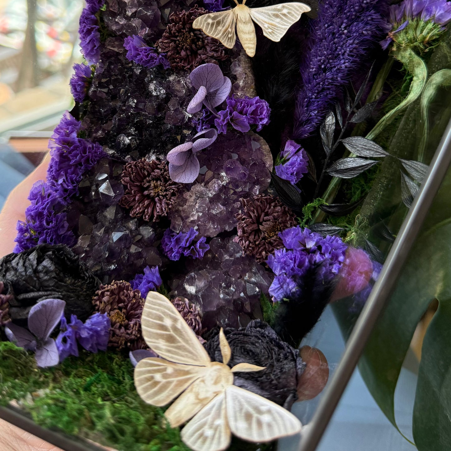 ✨The Amethyst Hollow✨