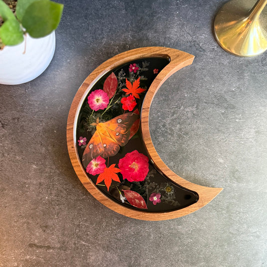 Crescent Moon Fire Moth Tray