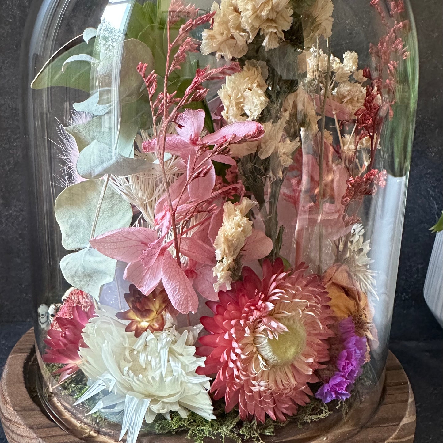 Moon Moth & Rose Quartz Terrarium