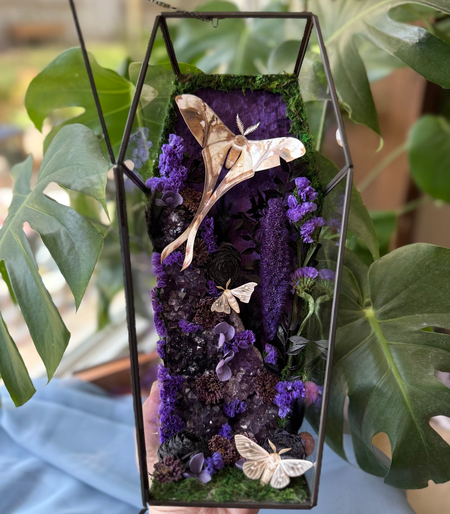 ✨The Amethyst Hollow✨