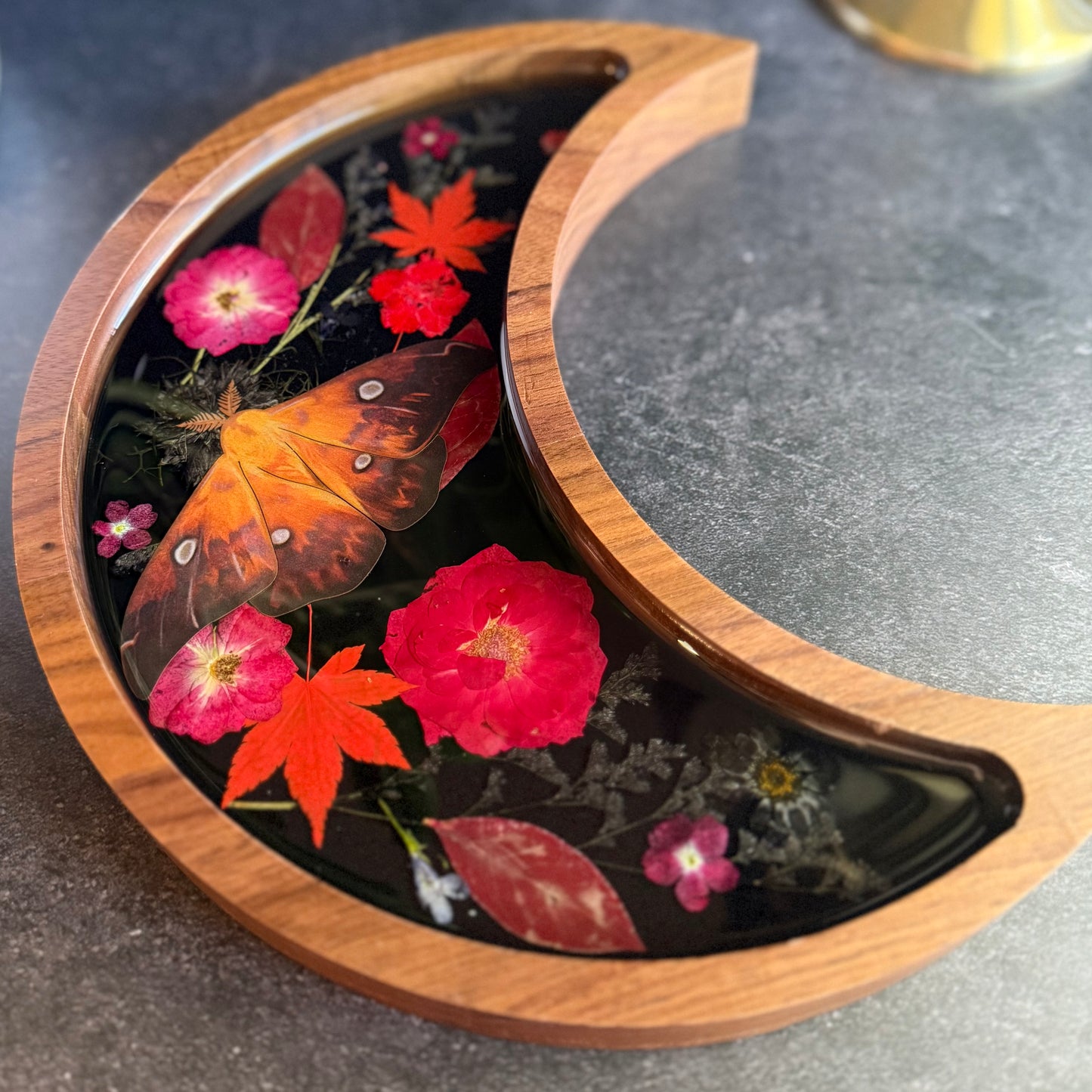 Crescent Moon Fire Moth Tray