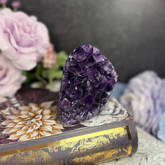 Amethyst Cluster