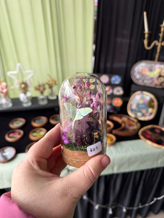 Mini Amethyst Crystal Terrarium