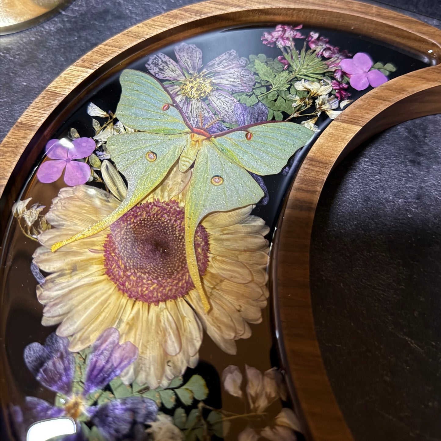 Crescent Moon Luna Moth Tray