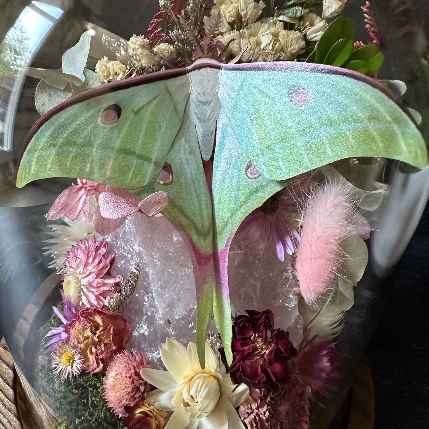 Moon Moth & Rose Quartz Terrarium