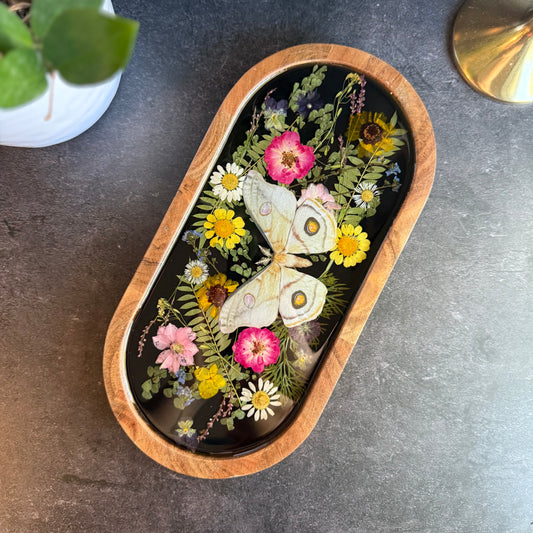 Emperor Gum Moth Tray