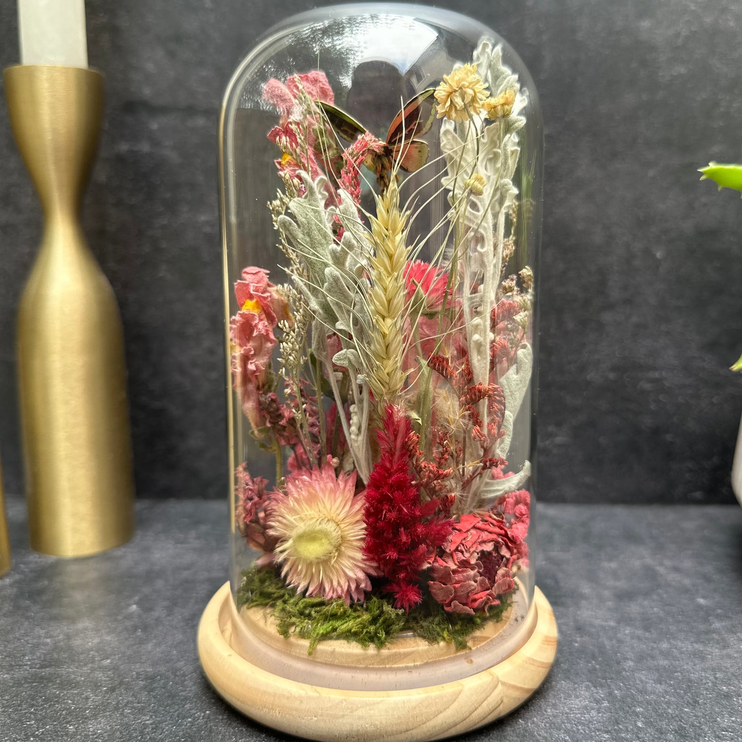 Rothschild Birdwing Butterfly & Aura Quartz Terrarium