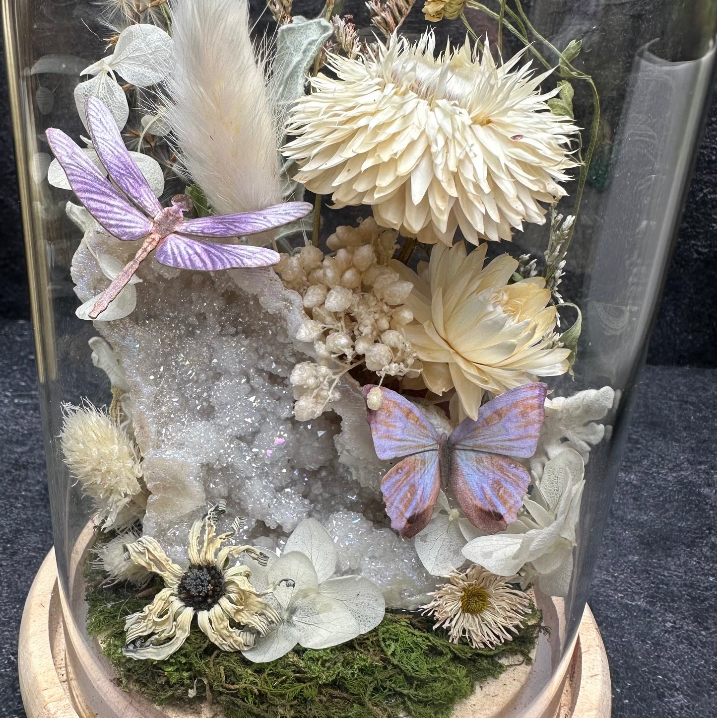 Dragonfly, Pearl Morpho Butterfly & Aura Quartz Terrarium