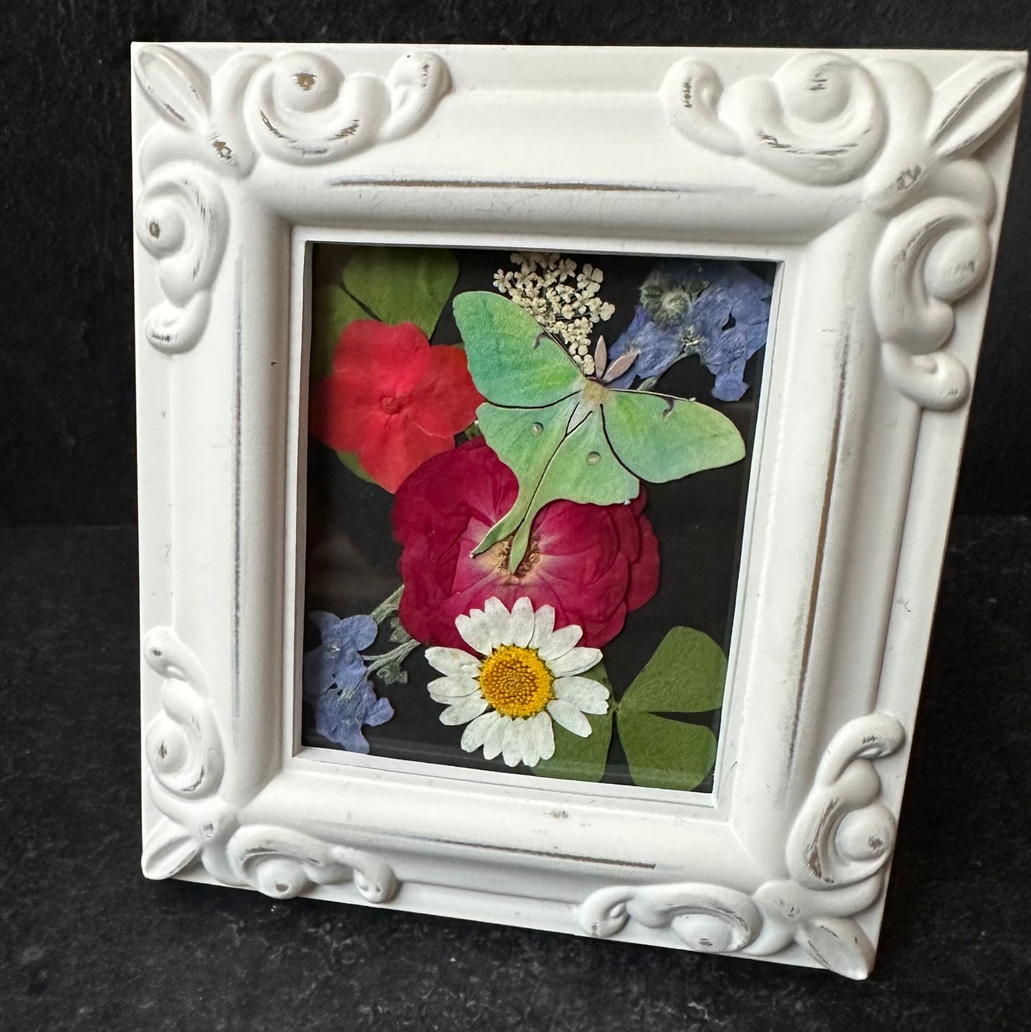 Luna White Antique Frame