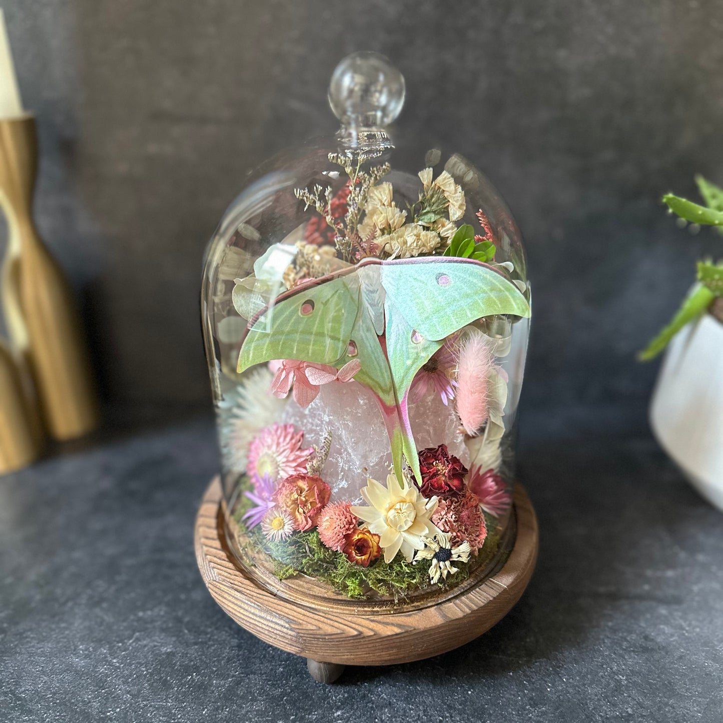 Moon Moth & Rose Quartz Terrarium