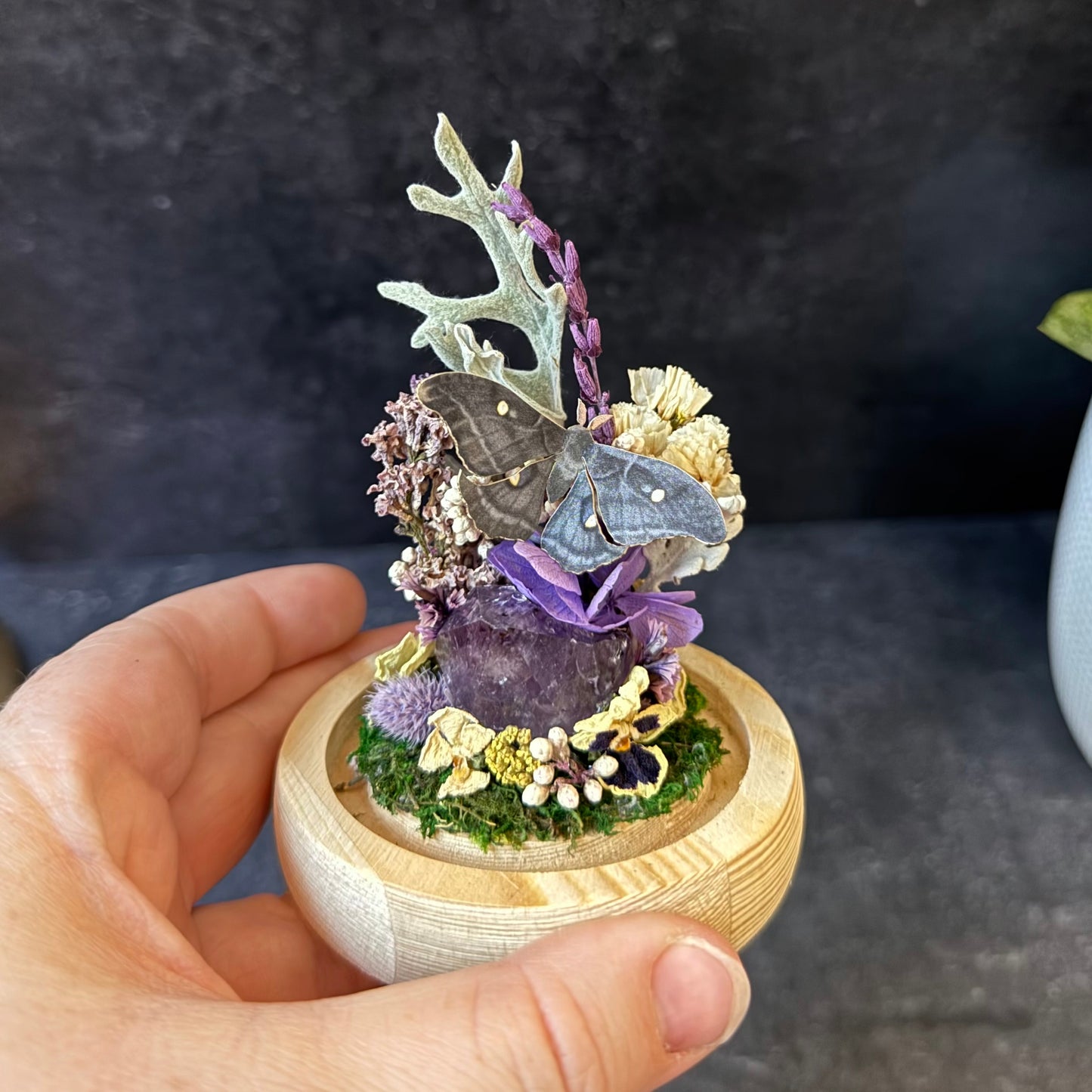 Mini Dark Polyphemus Moth & Amethyst Terrarium