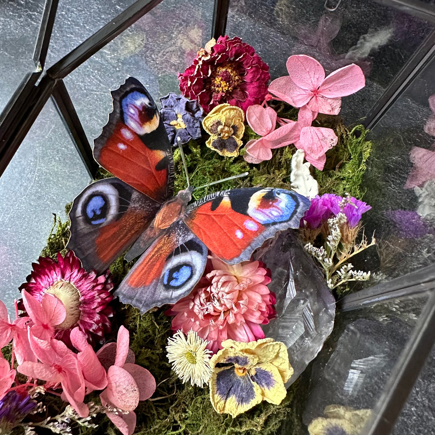 Peacock Butterfly & Amethyst Coffin Terrarium