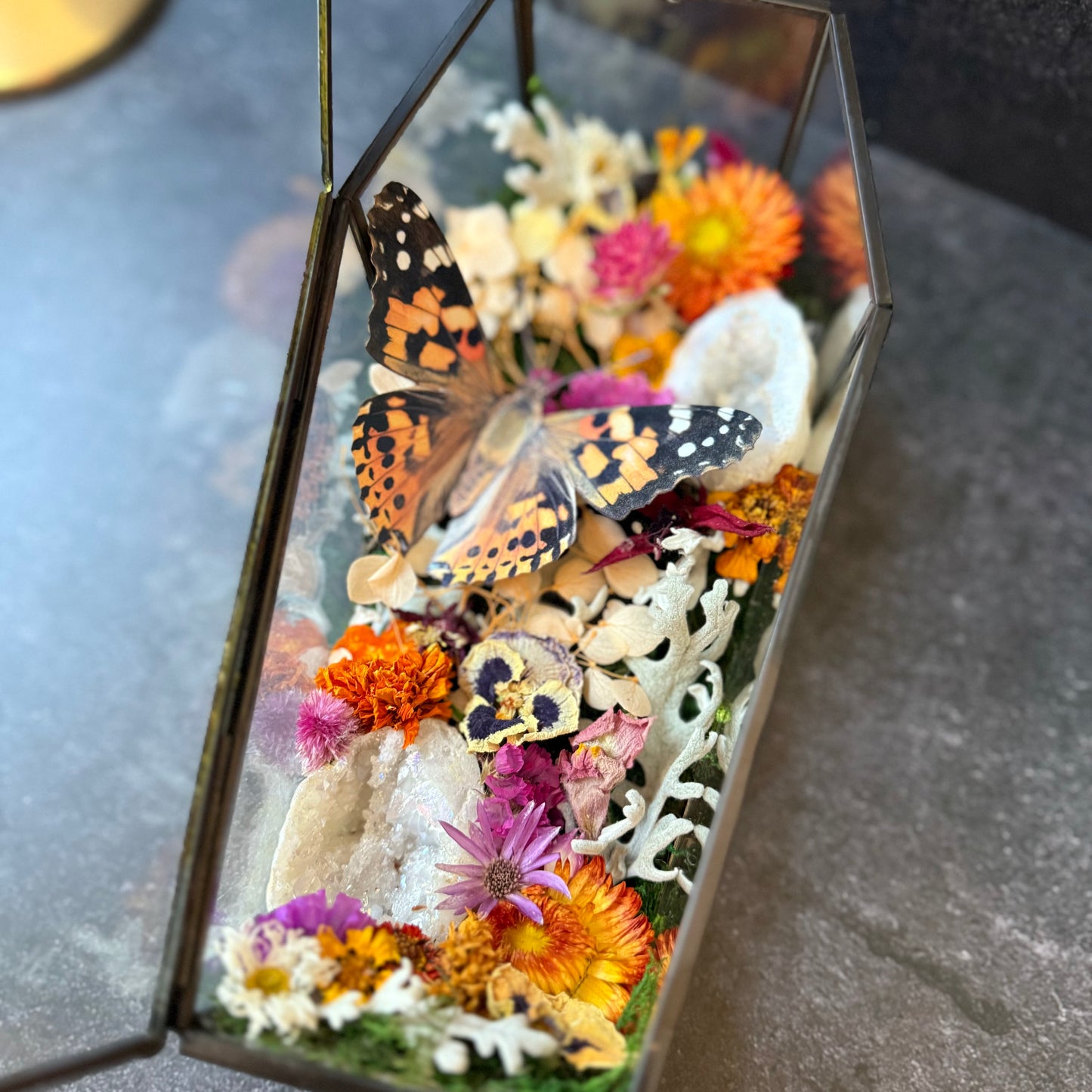 Painted Lady Butterfly & Aura Quartz Coffin Terrarium