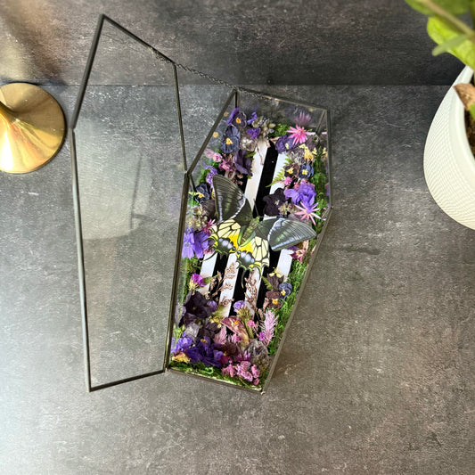 Beetlejuice Coffin Terrarium