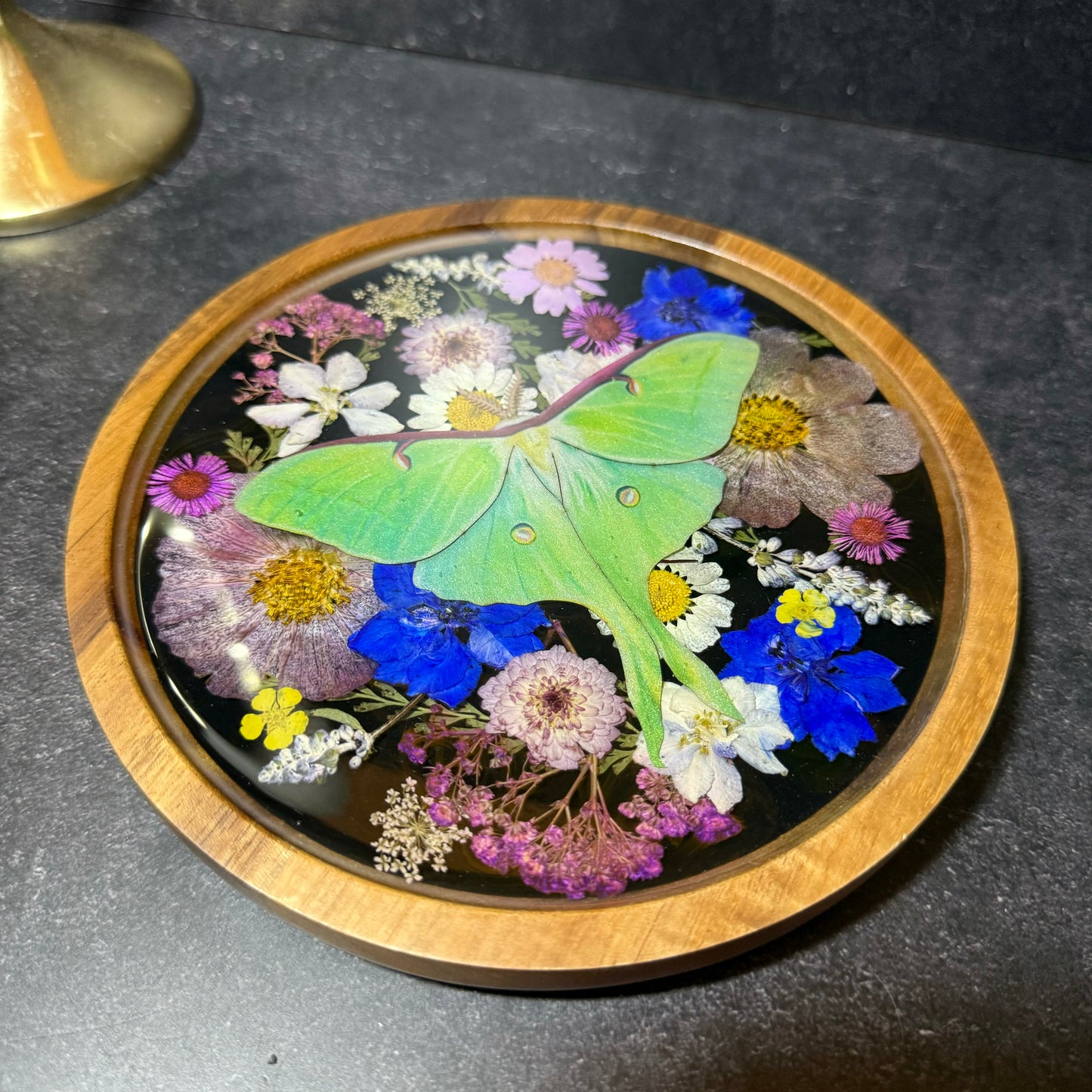 Round Luna Moth Tray