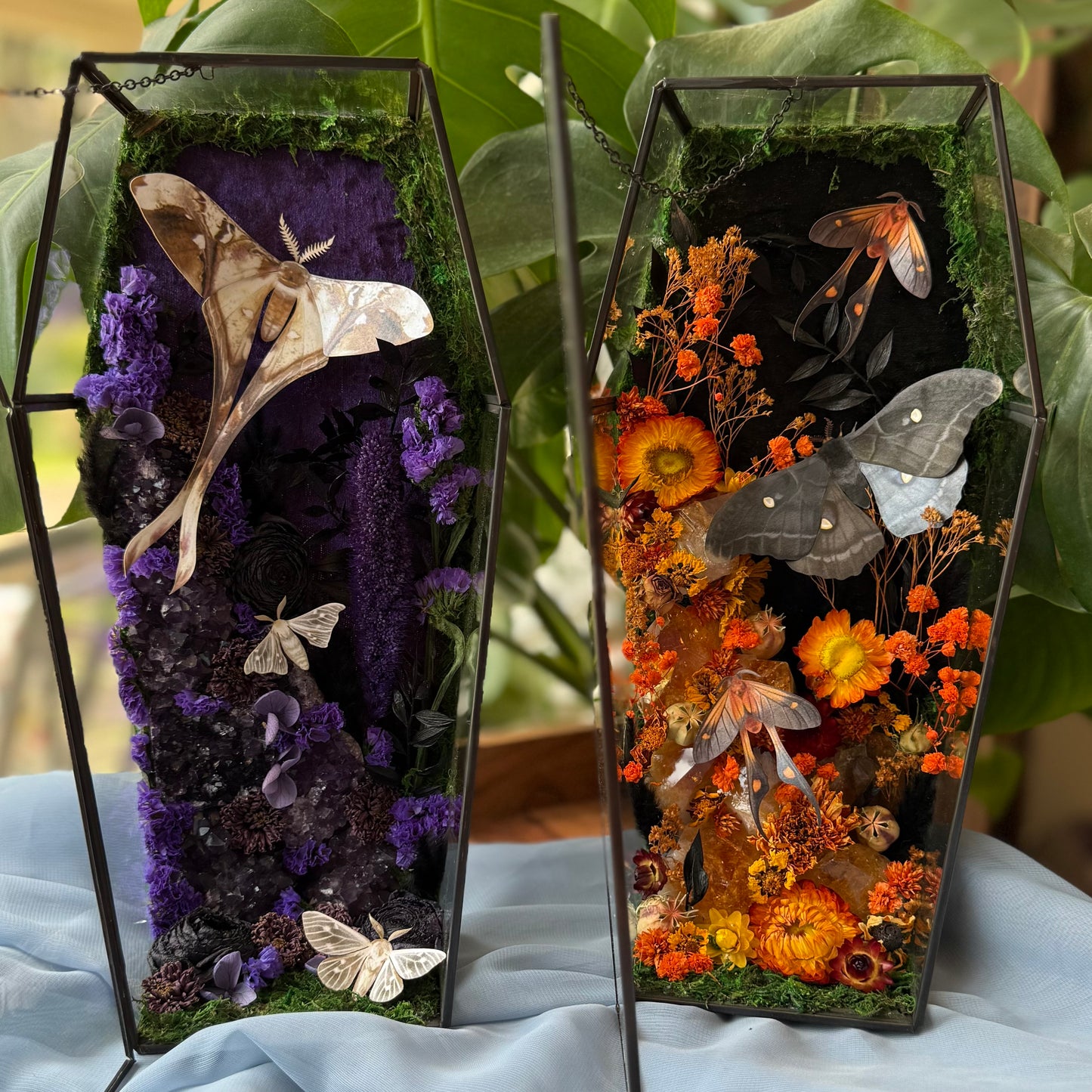 ✨The Citrine Hollow✨