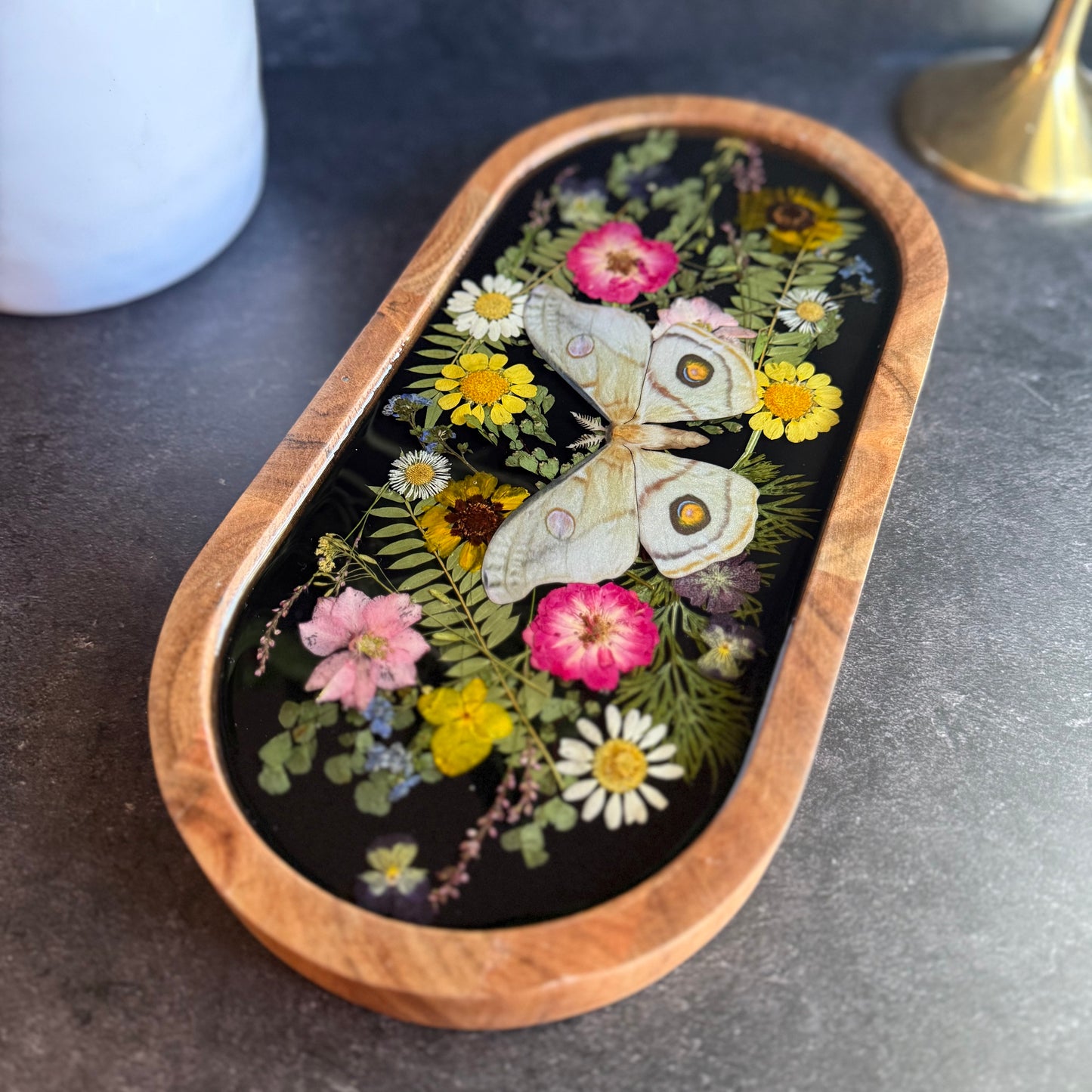 Emperor Gum Moth Tray