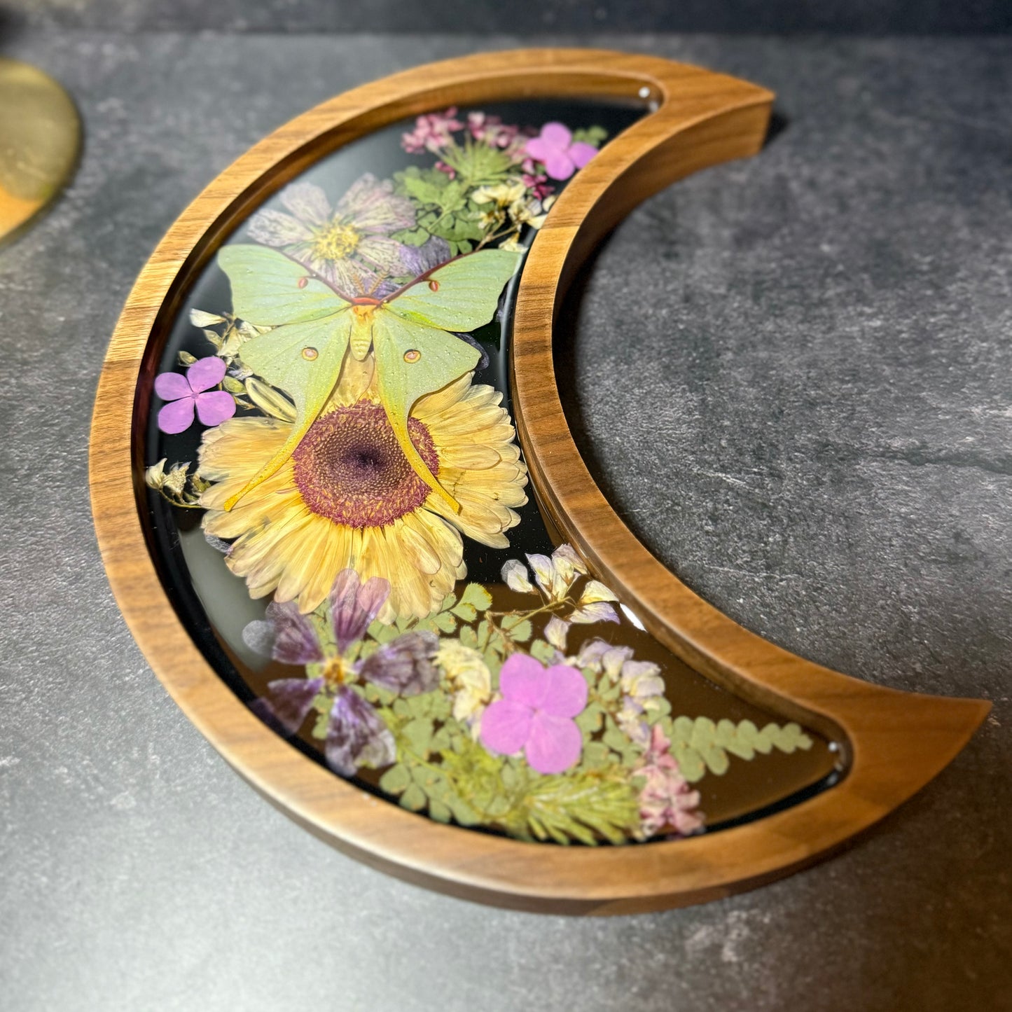 Crescent Moon Luna Moth Tray